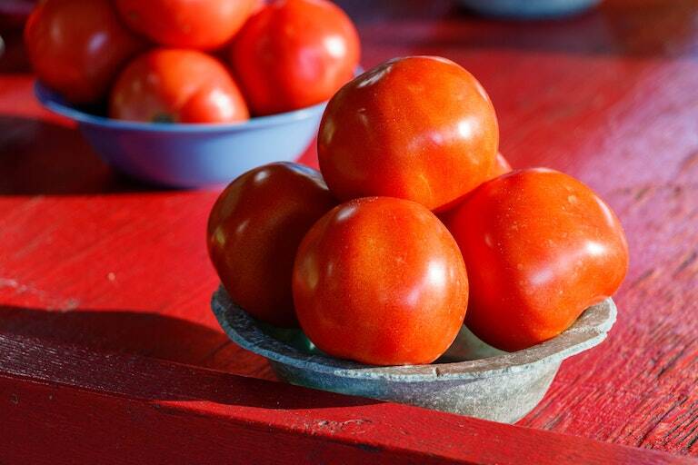 dry tomato